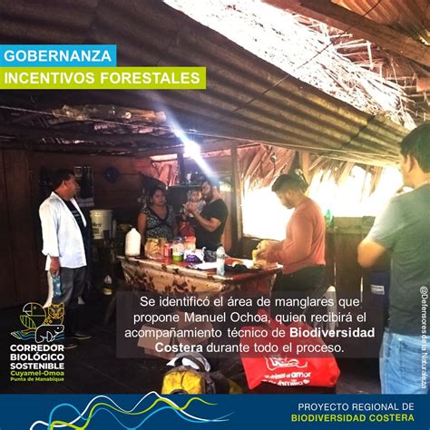 Inab Guatemala On Twitter Rt Uicn Conserva Con El Acompa Amiento