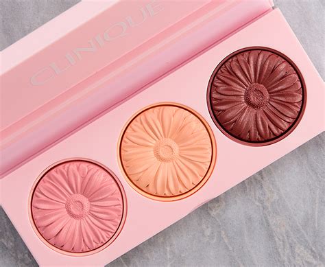 Clinique Warm Up Cheek Pop Palette Review Swatches