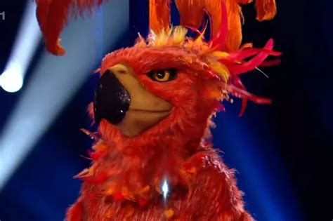 Masked Singer S Phoenix Identity Rumbled As Kaiser Chiefs Frontman Ricky Wilson Leeds Live