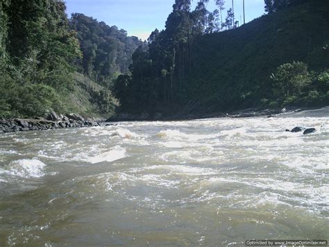 ANARCHY: Wisata Petualangan Hutan Tropis Kalimantan, 'Fear Factor' Sejati