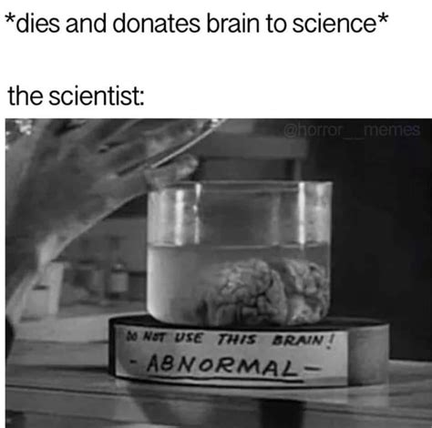 The Best Brain Memes Memedroid