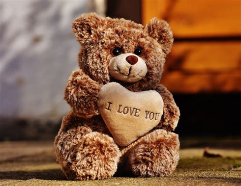 Cute Teddy Bear Love