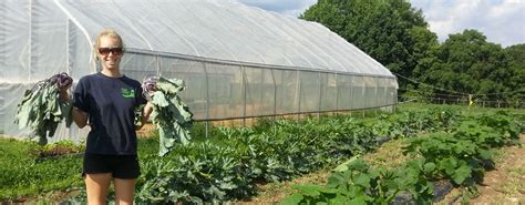 CSA shares offered by CLARK'S FARM at Clark's Elioak Farm - produce ...