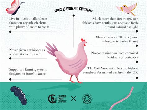 Wholesome Organic Chicken Bone Broth The Organic Butchery