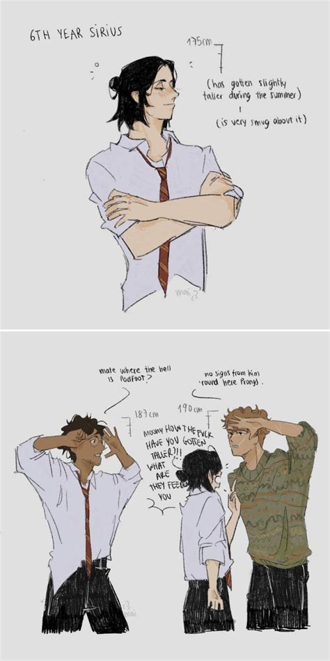 Sirius James And Remus Harry Potter Marauders Gay Harry Potter Harry Potter Fan Art