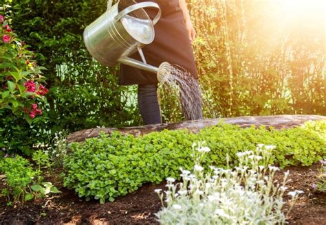 Cinco Opciones Para Reutilizar El Agua Del Aire Acondicionado La