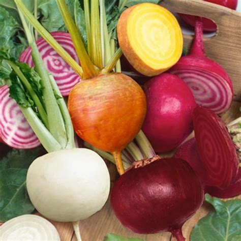 Beetroots : Beetroot-MIX COLORS-SIX VARIETIES