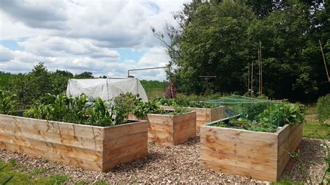 Weg Naar Zelfvoorziening De Moestuin Bakken