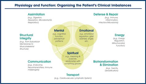 Functional Medicine What Is It How Does It Work Why Should You Try It