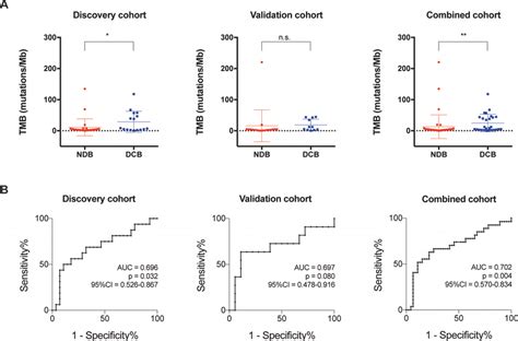 Tumor Mutational Burden Tmb And Clinical Benefit A The Correlation Download Scientific