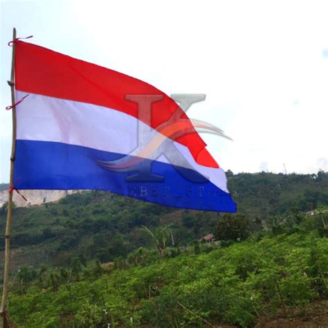 Jual Bendera Negara Belanda Shopee Indonesia