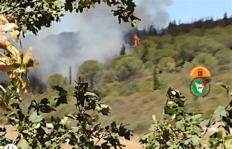 Incendio Boschivo In Localit Meleto A Greve In Chianti