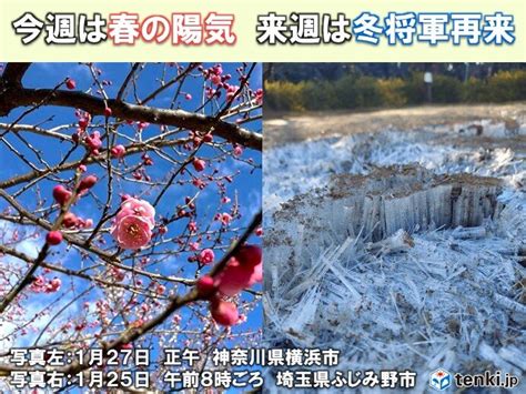 関東地方 今週は4月下旬並みの陽気の所も 来週は一転真冬の寒さ 気象予報士 小室 拓也 2024年02月12日 日本気象協会 Tenki Jp