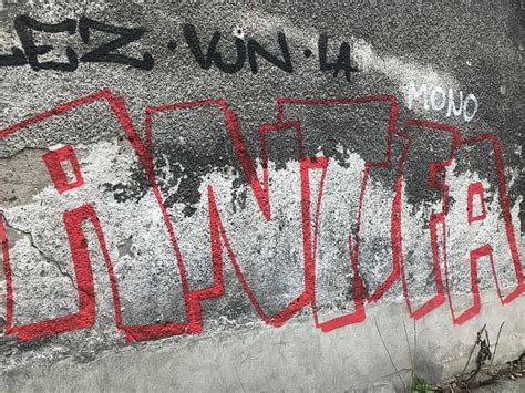 Antifa Grafitti Graffiti Paint - Free photo on Pixabay - Pixabay