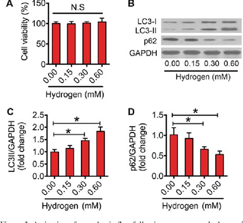 Figure 1 From Hydrogen Attenuated Oxidized Low Density Lipoprotein