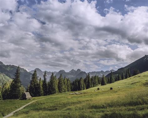 The Ultimate Guide To Zakopane Summer Krakowbuzz