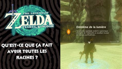 Quest ce que ça fait avoir toutes les racines ZELDA TEARS OF THE