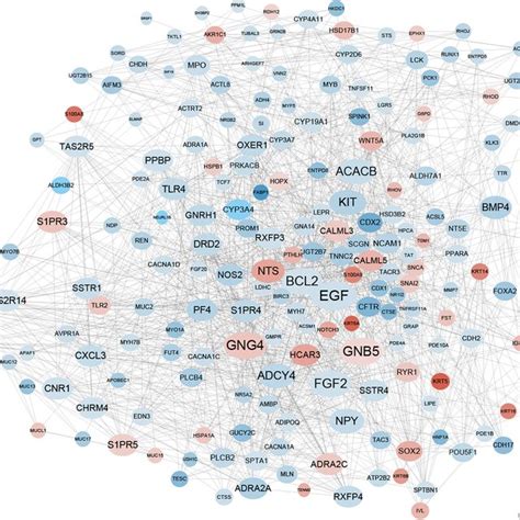 Protein Protein Interaction Network Of The Degs Red Nodes Stand For