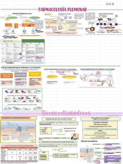 Farmaco Apuntes Ana Laura Orozco Udocz