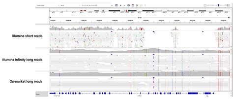 The HiFi Difference Getting The Right Answer PacBio