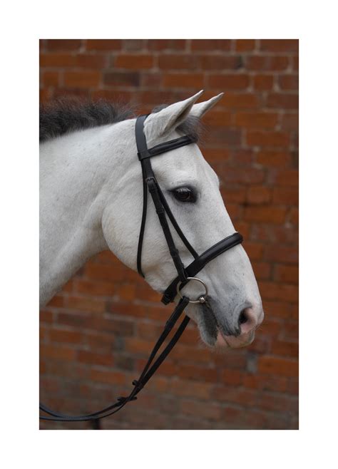 Stable Equipment Hy Padded Cavesson Bridle