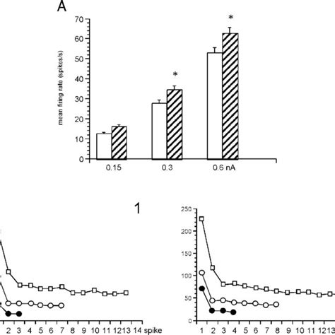 IGF I Increases The Excitability Of DCN Neurons Without Modification In