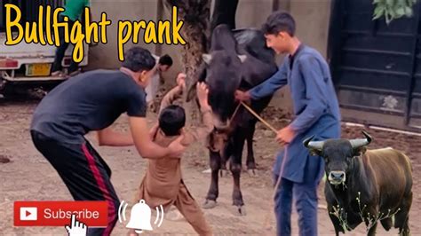 Bull Fight Prank With Bacha Party Youtube