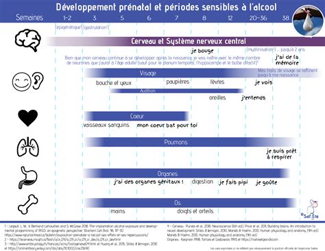 Tableau de développement mis à jour SafEra SOS TSAF Sensibiliser