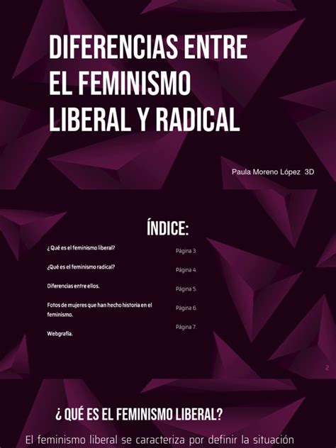 2489 Feminismo Radical Y Liberal Pdf Estudios De Género Feminismo