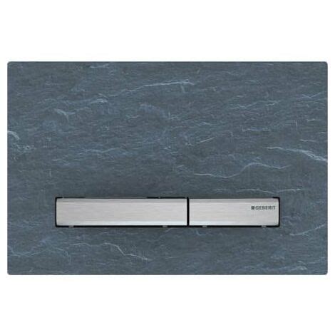 Geberit Plaque De Commande Sigma Pour Rin Age Volumes Coloris