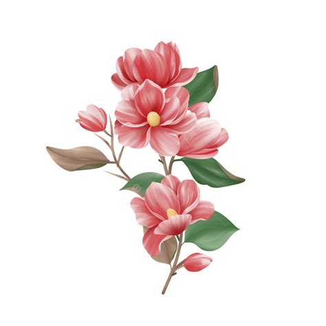 Pink Watercolor Flowers Png Picture Watercolor Pink Flower Illustration Watercolor Pink