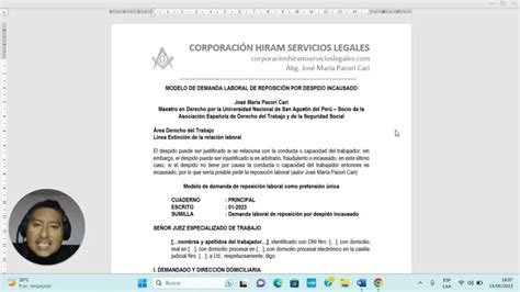 Demanda De Despido Modelo Explicado Viltis