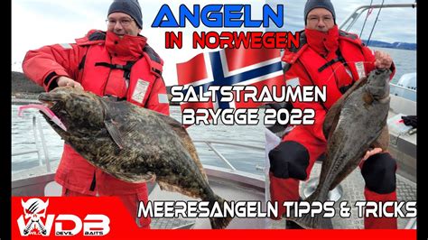 Angeln In Norwegen 2022 Saltstraumen Brygge Meeresangeln Dorsch