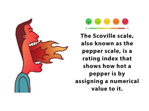 What Is The Scoville Scale