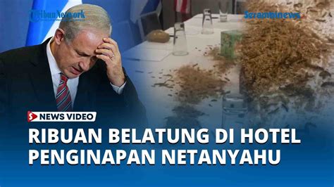 Ribuan Belatung Di Hotel Tempat Penginapan Netanyahu Diduga Dilakukan