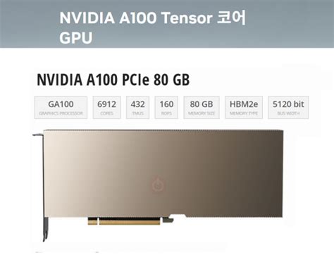 인팍쇼핑 -NVIDIA Tesla A100 80GB Tensor Core GPU : PC부품/주변기기