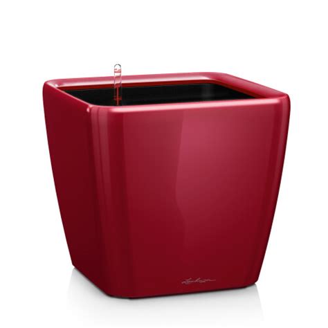 Scarlet Red High Gloss H20 L21 W21 Cm LECHUZA Quadro LS Square Poly