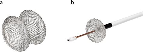 Lumen Apposing Metal Stent Axios Boston Scientific Marlborough