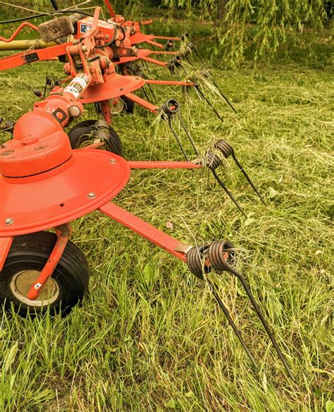 Our Second Cut of Hay 2023 - The Martha Stewart Blog