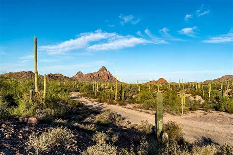 Ajo Az: Exploring The Hidden Gems And Fun Activities | QuartzMountain