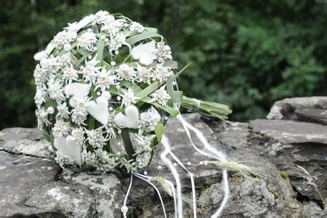 Edelweiss Bouquet Edelweiss Are In Bloom In The Dolomites During