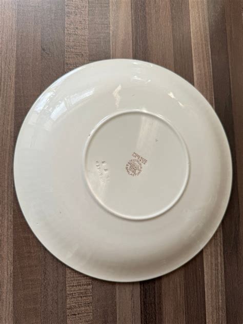 Vintage Enoch Wedgwood Edme Moss Rose Ironstone 10 Inch Dinner Plate