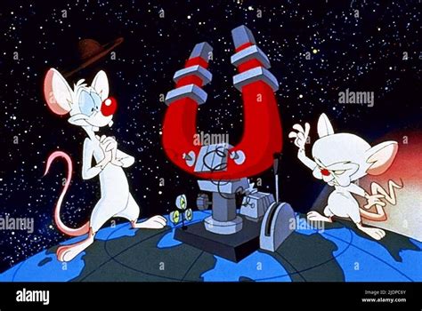 Pinky And The Brain Wallpaper