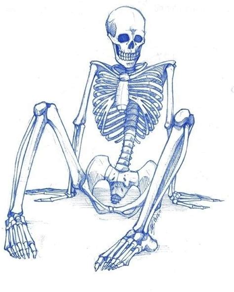 A Drawing Of A Skeleton Sitting On The Ground