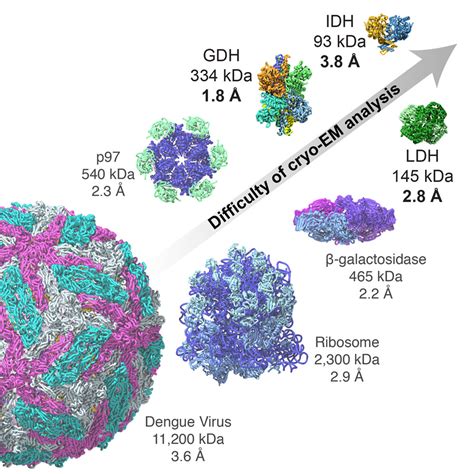 Breaking Cryo Em Resolution Barriers To Facilitate Drug Discovery Cell