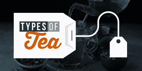 Types Of Tea The 6 Types Of Tea And Their Benefits Uptime Coffee