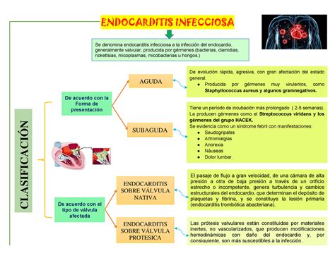 Signos De Endocarditis Infecciosa