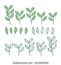 Set Hand Drawn Green Leaves Elements Stock Vector Royalty Free