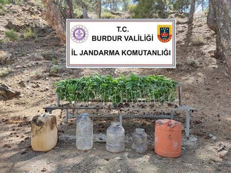 Jandarmadan Uyu Turucu Operasyonu Burdur Haber Burdurweb G Ncel