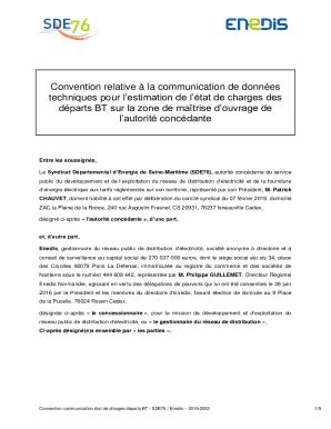 Remplissable En Ligne Contrat De Concession Du Service Public De L